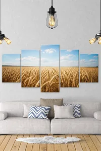 Canvas 5 Stampe - Image