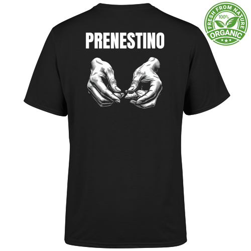T-Shirt Unisex Organic