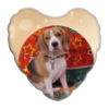 Cuscino26 Ciro
