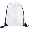 PANDA LION 141