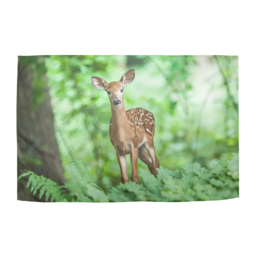 PLAID - ANIMALI NEL BOSCO