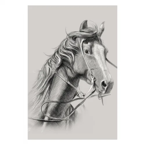 Canvas 40x60