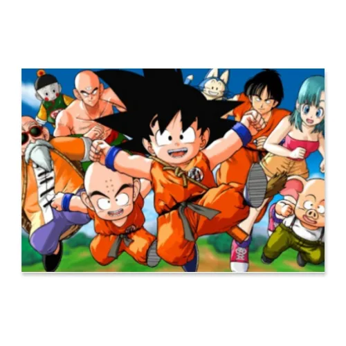 Poster 45x30