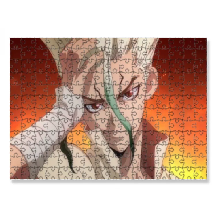 puzzle dr stone