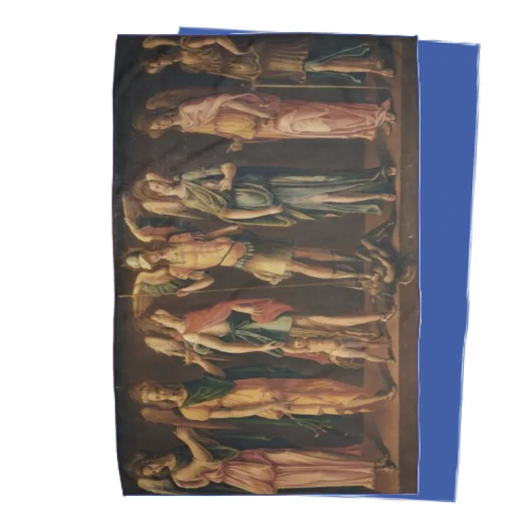 coperta15