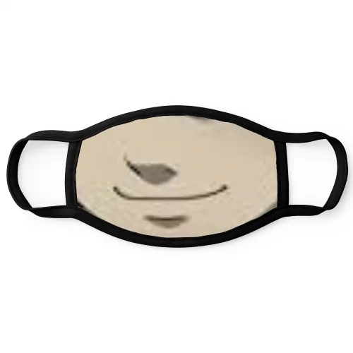 Cloth Face Mask