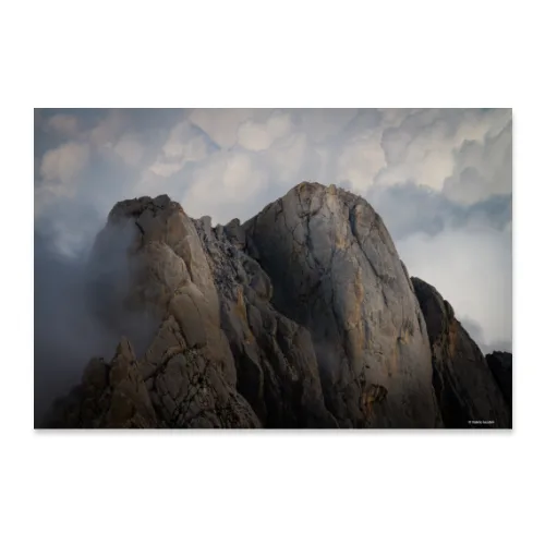 Poster 90x60