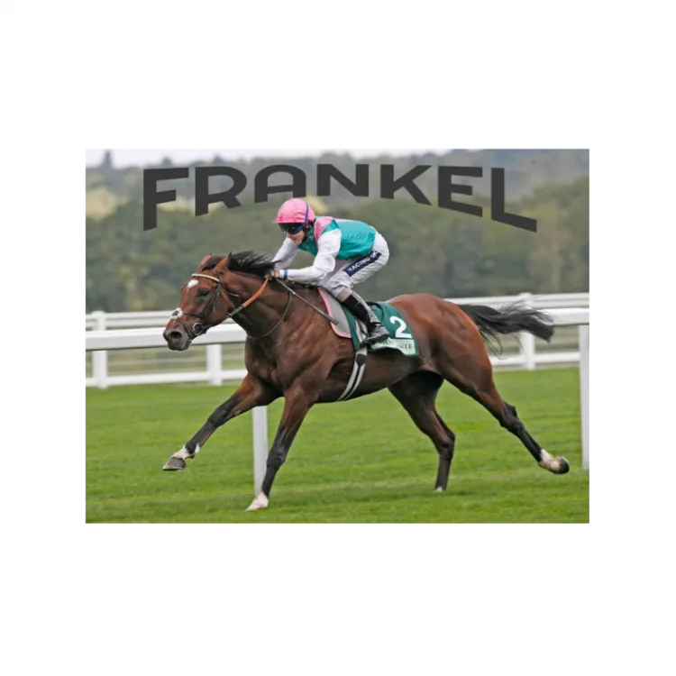 Poster Frankel