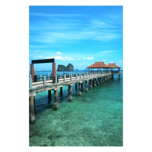 Canvas 40x60
