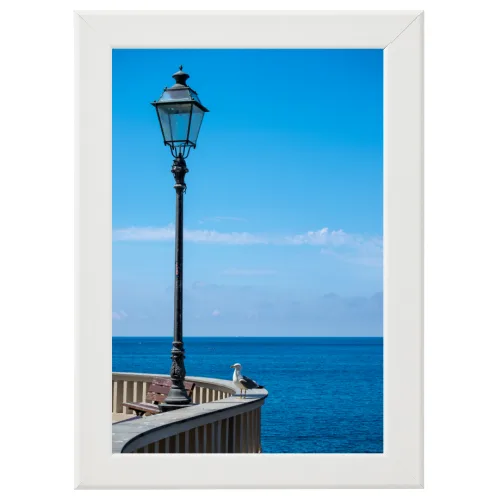 Poster con Cornice 30x45