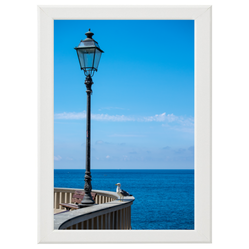 Poster con Cornice 40x60