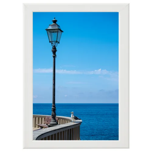 Poster con Cornice 40x60