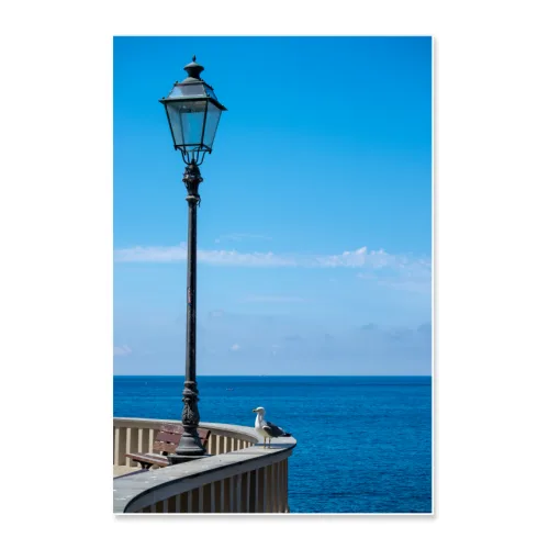 Poster 30x45