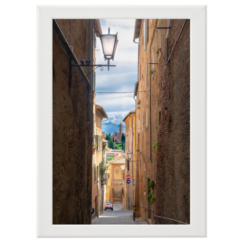Poster con Cornice 40x60