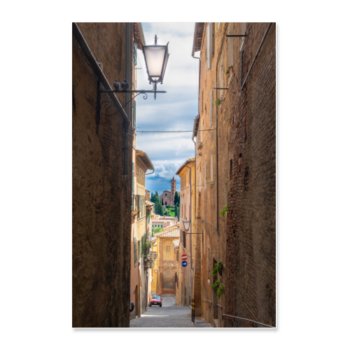 Poster 30x45