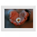 30x20 Framed Poster 24.90 &euro;