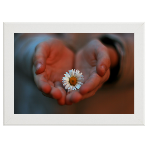Poster con Cornice 45x30