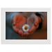 45x30 Framed Poster 34.90 &euro;