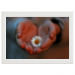 60x40 Framed Poster 58.90 &euro;