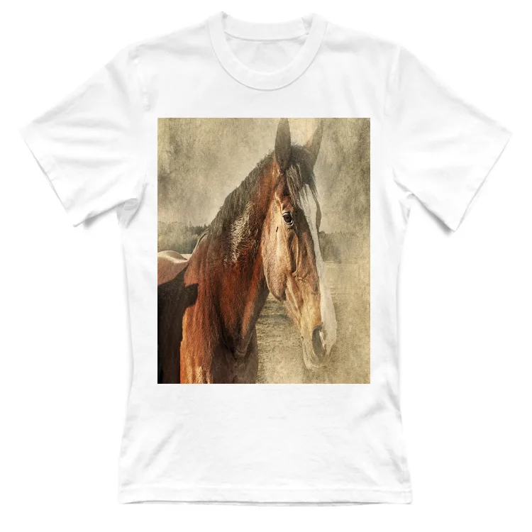 PER GLI AMANTI DEL CAVALLO...