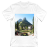 Immagine Pozza di Fassa CIMA 11