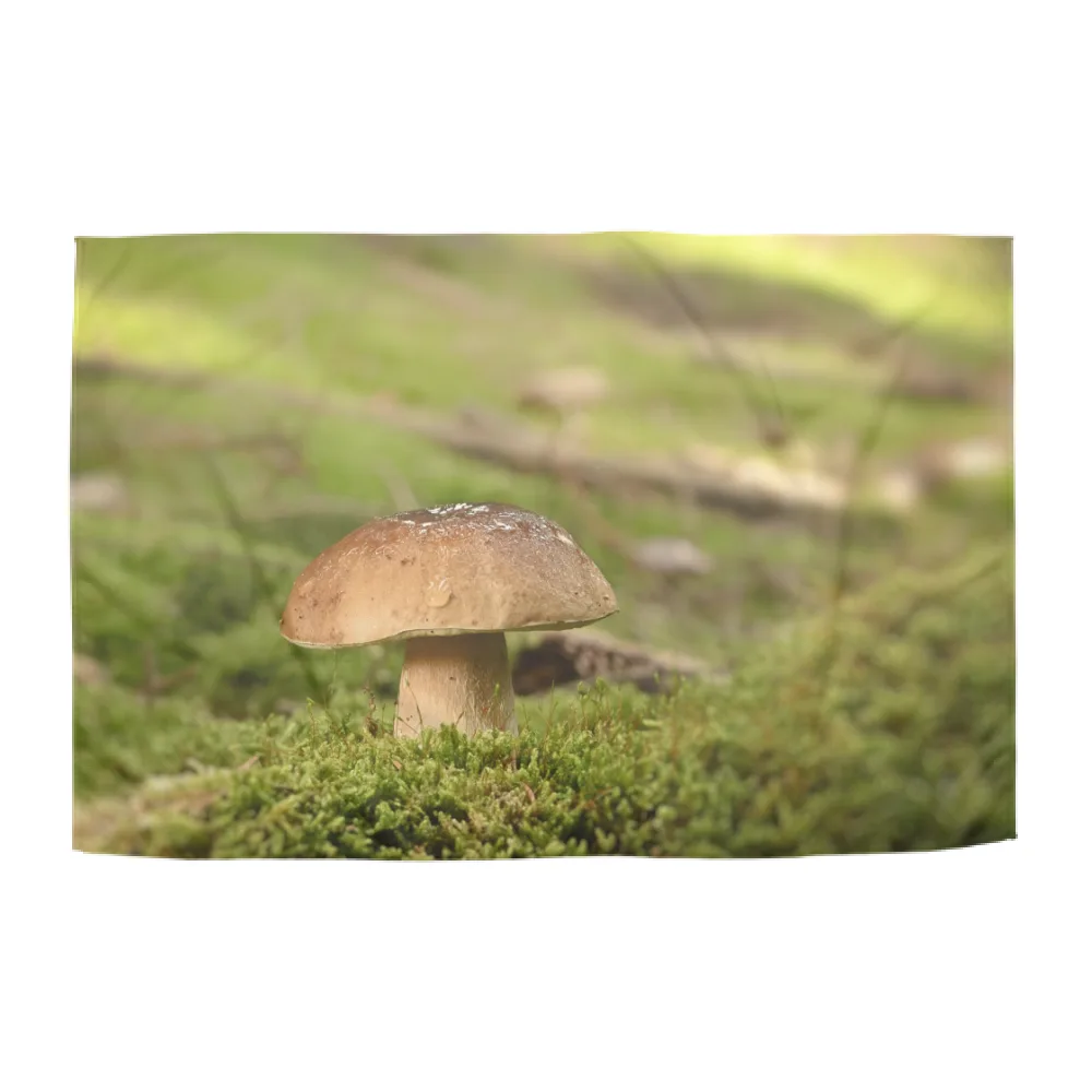 VADO A FUNGHI - PLAID Mod2