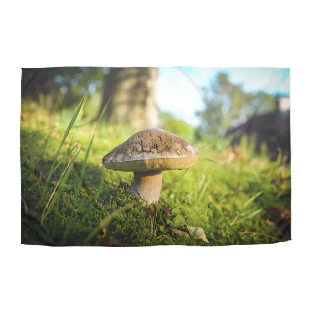 VADO A FUNGHI - PLAID Mod6