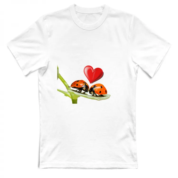 Ladybugs in love
