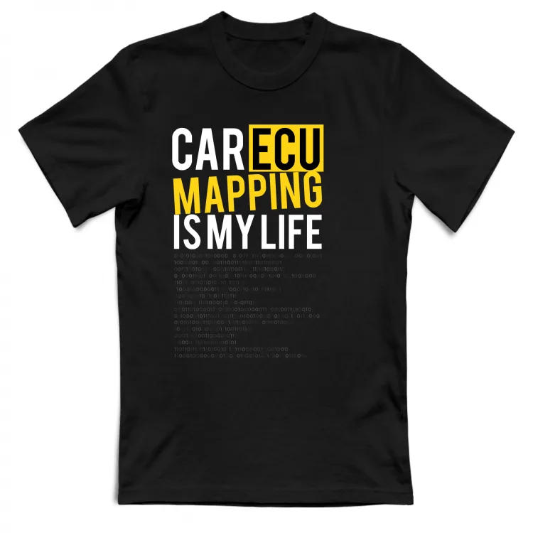 Car Ecu