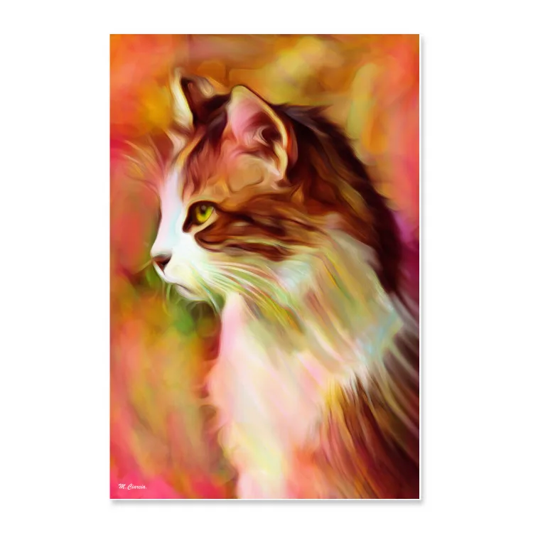 Micio - poster su  carta fotografica