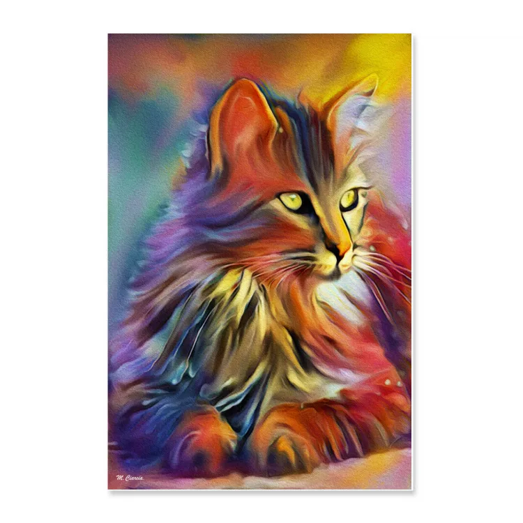 Gatto solare - poster su carta fotografica