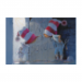 Canvas 30x20 29.90 &euro;