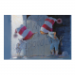 Canvas 45x30 31.25 &euro;