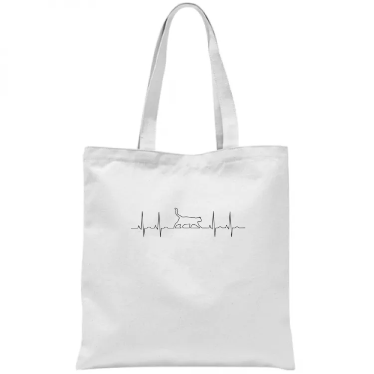 ecg cat