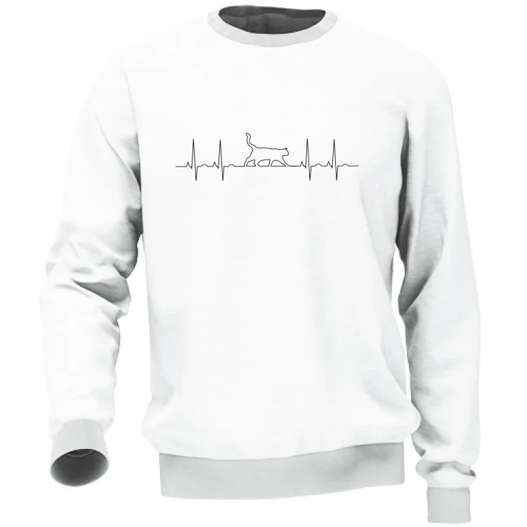 ecg cat