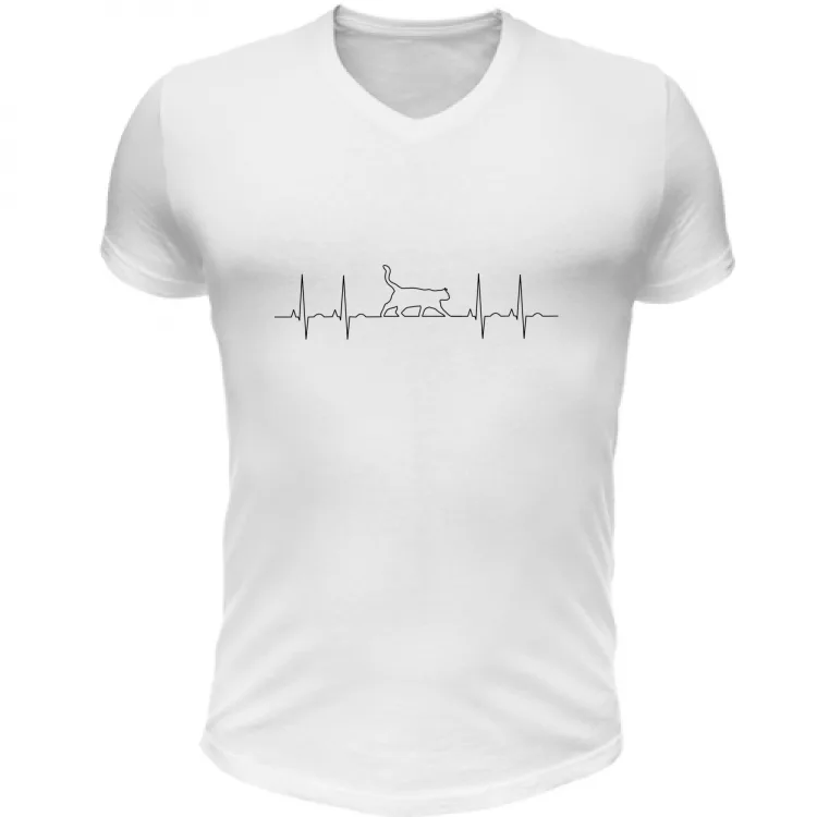 ecg cat