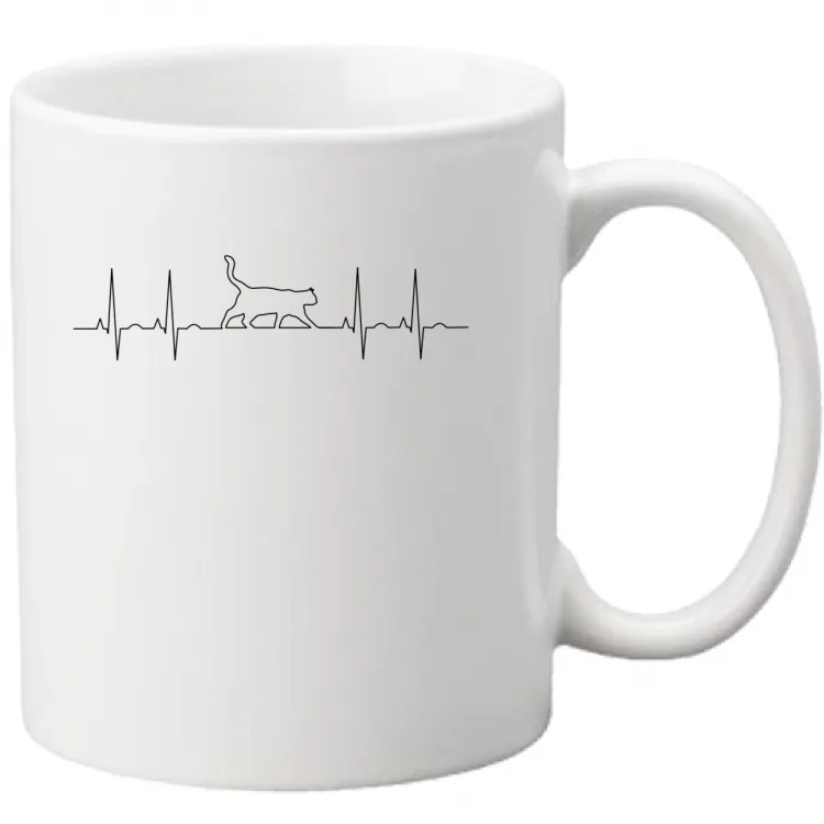 ecg cat