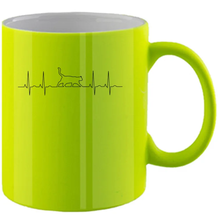 ecg cat