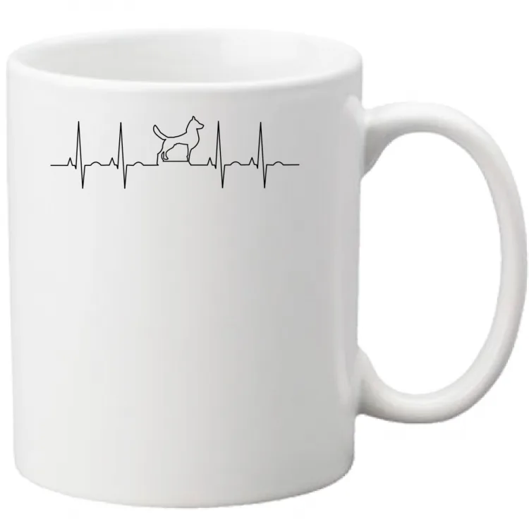 ecg dog