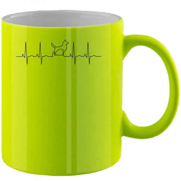 ecg dog