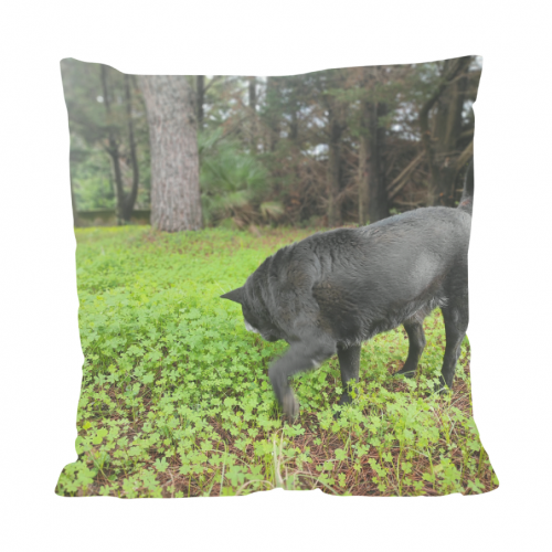 Cuscino All Over Print