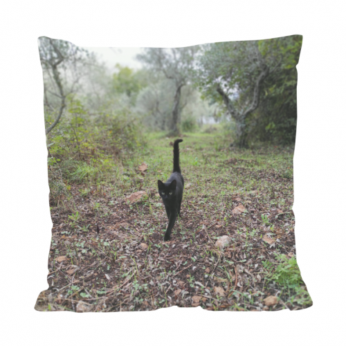 Cuscino All Over Print
