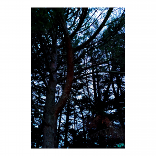 Canvas 30x45