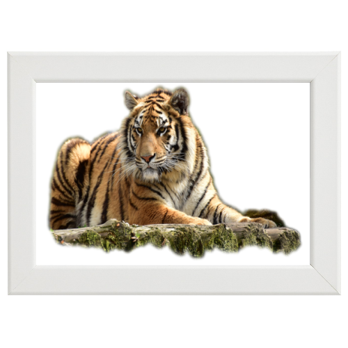 Poster con Cornice 45x30