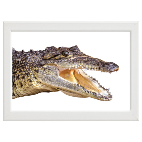 Poster con Cornice 60x40