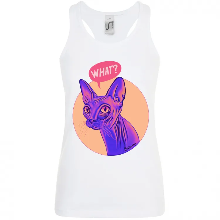  Gatto Sphynx