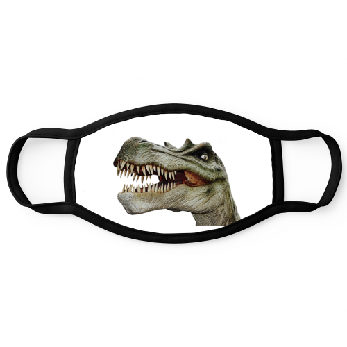Cloth Face Mask Baby