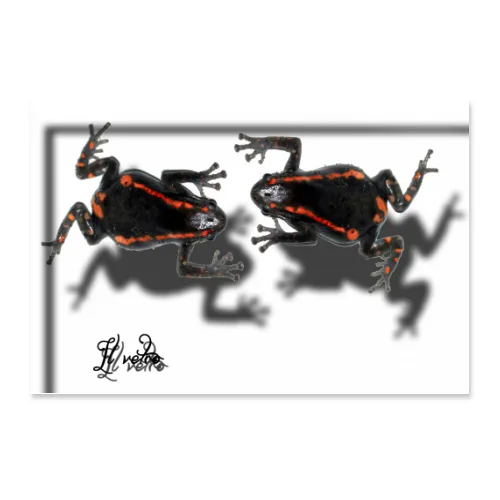 Poster 45x30
