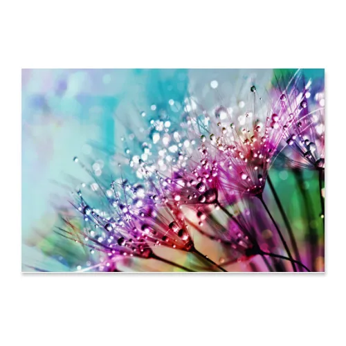 Poster 45x30