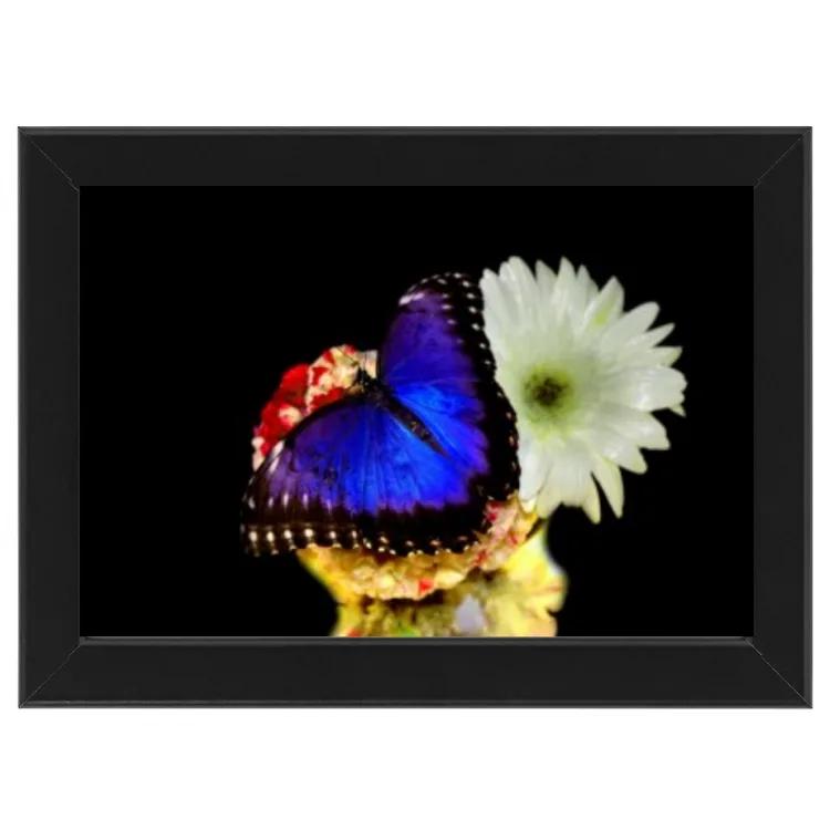 Frame butterfly